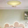 Потолочный светильник LESLEY D43,5 Pink