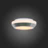 Настенно-потолочный светильник ST Luce BAGNO SL469.502.02