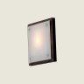 Настенно-потолочный светильник Citilux 938 CL938311