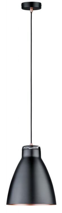 Подвесной светильник Paulmann 79609