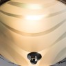 Потолочный светильник Arte Lamp Alta A3008PL-2CC