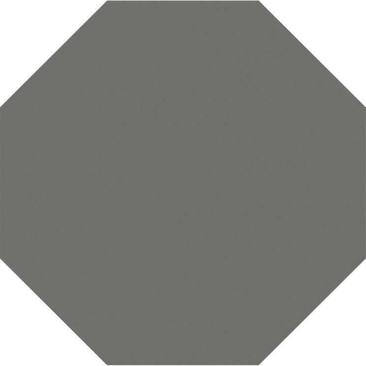 Агуста серый натуральный SG244700N 24х24