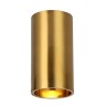 Потолочный светодиодный светильник Favourite Stirpe 2796-1U