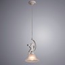 Подвесной светильник Arte Lamp Amur A1133SP-1WG