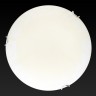 Накладной светильник TOPLIGHT TL9620Y-00WH