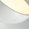 Потолочный светильник SELDEN D20 White