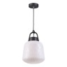 Ландшафтный светильник, Подвесной светильник Novotech Conte 370601